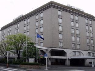 Pearl Hotel Mizonokuchi Kawasaki (Kanagawa) Quarto foto